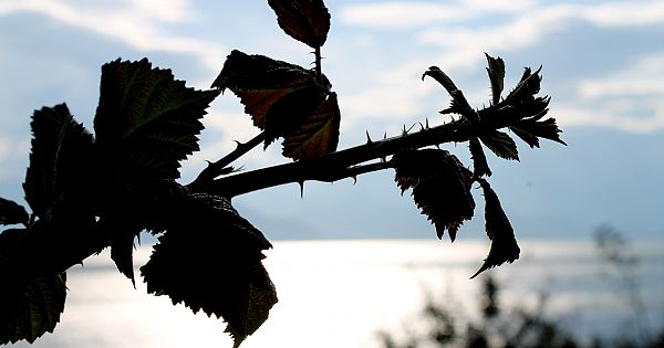 Antalya'ya bu açıdan baktınız mı?