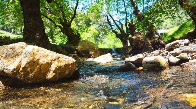 Torbalı Festivale doymadı!