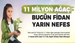 11 Kasım “Milli Ağaçlandırma Günü” olacak