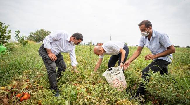 Bölgede hem kurutma hem de salça tesisi yapmayı planlıyoruz