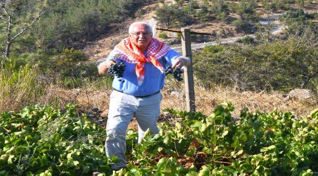 Kavacık Festivali bağbozumuyla yaşatıldı