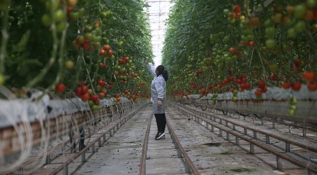 Termal seracılıkta Avrupa'nın en büyüğüz