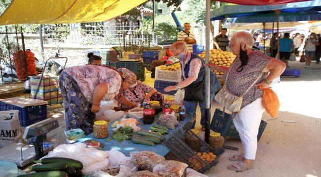 Karşıyaka Belediyesi’nden çınarlara hizmet hamlesi