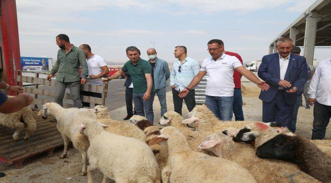 Hayvanları Yanan Vatandaşlara Hayvan Desteği...