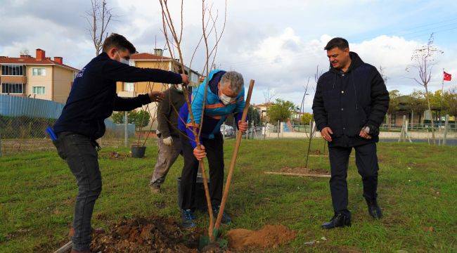 Atıl Araziydi Meyve Bahçesi Olacak!