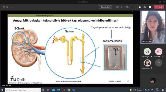 Dr. İbiş, 