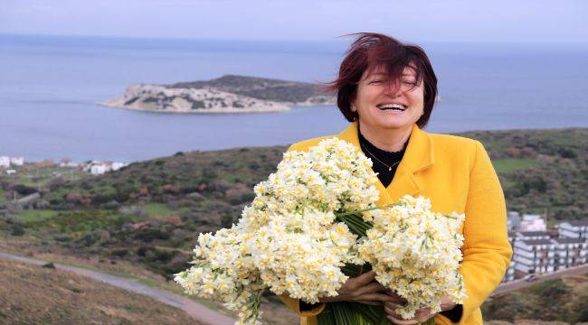 Karaburun'da 4'üncü Nergis Festivali Heyecanı