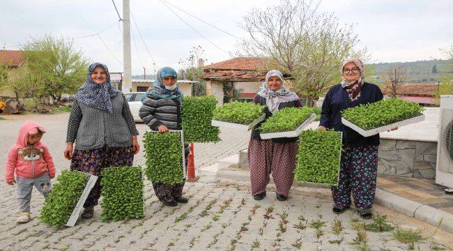 Buca'dan üreticiye destek