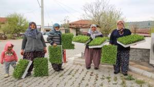 Buca'dan üreticiye destek