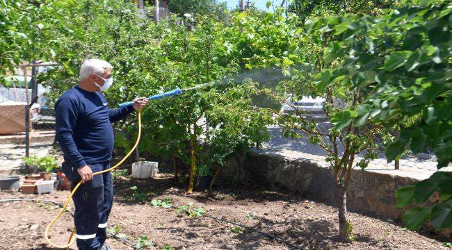 Bornova’da Üreticiye destek