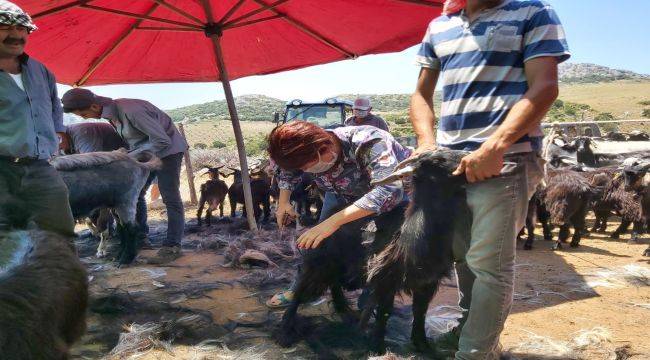 Karaburun'da Kırım Şenliği