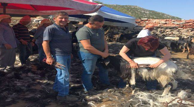 Karaburun'da Kırkım Şenliği