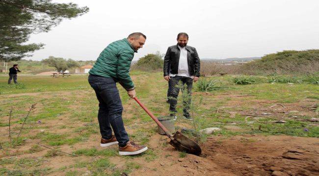 Seferihisar yeniden yeşeriyor!