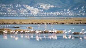 İEKKK'de yeni dönem Flamingo Yolu gezisi ile başladı