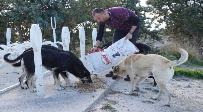 Çeşmeli can dostlara destekler devam ediyor