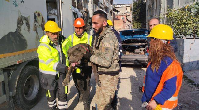 İzmir Büyükşehir'den depremzede hayvanlara destek