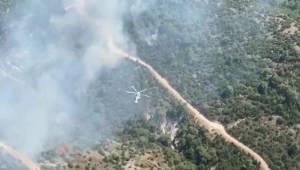 Manisa'da ormanlık alan yanıyor