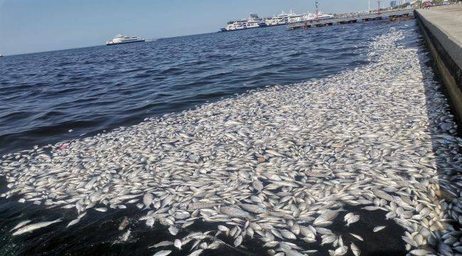 İzmir Körfezi Kirli ve Bir Süre Daha Kirli Kalacak 