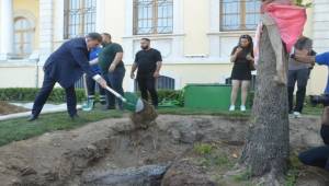 Kırılan Asırlık Çınar Ağacının Yerine Yenisini Dikti 