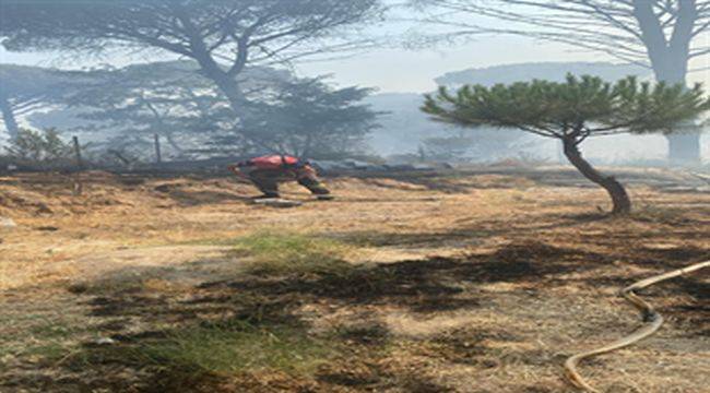Bergama’da orman yangınına müdahale ediliyor