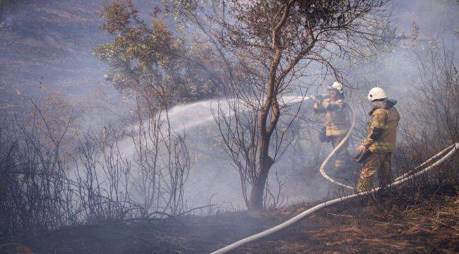 İzmir'in dört bir yanı alevlere teslim