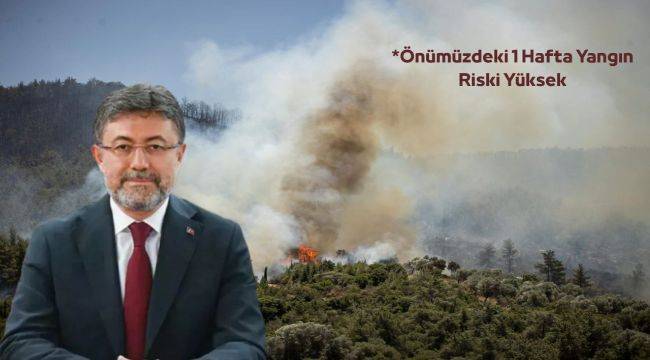Yangınlar kontrol altına alındı 