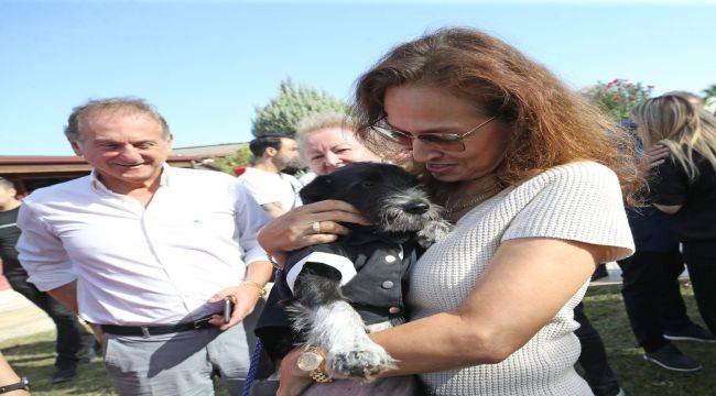 Karşıyaka'da can dostlar için 25 ton mama toplandı