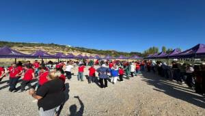 Engelli yurttaşlar ve yakınları zeytin hasadında buluştu