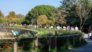 İzmir Doğal Yaşam Parkı’na ziyaretçi akını