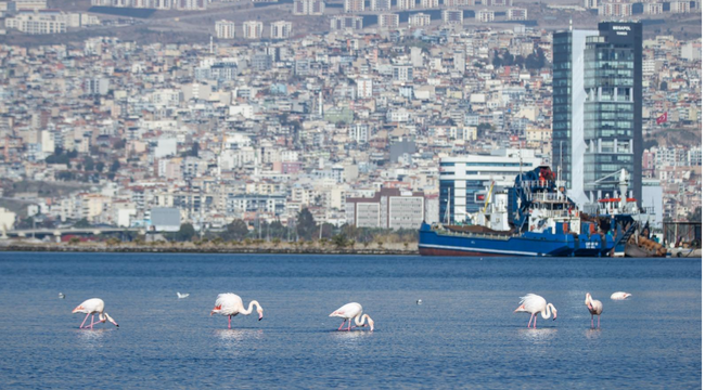 İzmir’in gelecek yarım asrı şekilleniyor