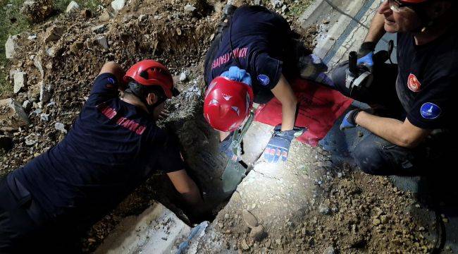 Mazgala düşen kayıp köpek ve kediler itfaiyenin çabasıyla kurtarıldı