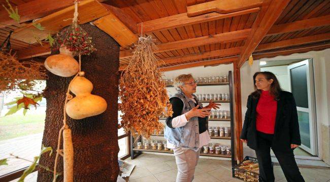 1 yılda 200 bini aşkın tohum paketi dağıtıldı