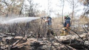 Bir kıvılcım binlerce yangın