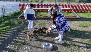 Çocuklara hayvan sevgisi kazandırılıyor