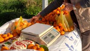 Güzelbahçe’de Güven ve Dayanışma Esaslı Uygulama