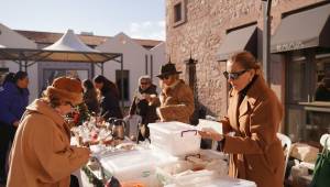 Her Şey Ayvalık Fidanları İçin