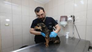 Gaziemir Belediyesi’nden can dostlara uzanan sevgi eli