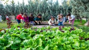 Karşıyaka ‘Yeşil Bayrak’ yolunda