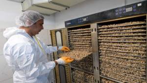 Tek Sağlık yaklaşımıyla İzmir’de hayvan refahı artıyor