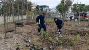 Betonun arasından orman çıktı