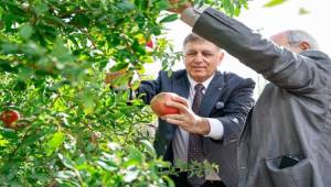 Sofrada adalet için İzmir hamlesi